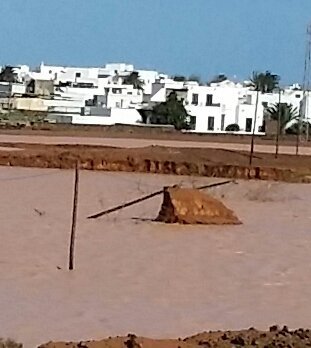 El viento derribó dos postes de telefónica en las gavias de Guatiza