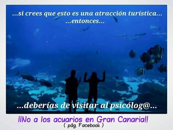 No al acuario